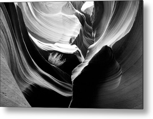 Lower Antelope Canyon Photograph In Black And White Metal Print featuring the photograph Lower Antelope Canyon Shrub by Mae Wertz
