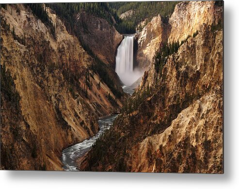 Yellowstone National Park Metal Print featuring the photograph Lower Falls of Yellowstone by Leda Robertson