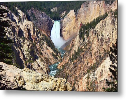 Falls Metal Print featuring the photograph Lower Falls Yellowstone by Teresa Zieba