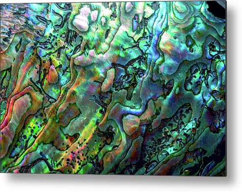Mollusk Metal Print featuring the photograph Luxury Background Of Blue Abalone Pearl by Elen11