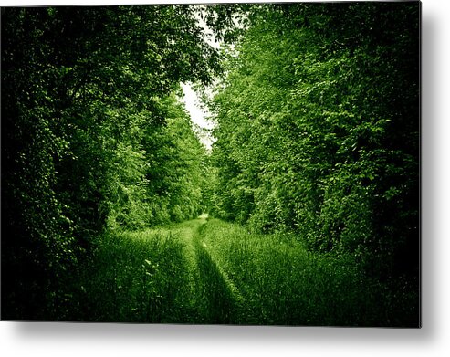 Atv Trail Metal Print featuring the photograph Lying In Wait... by Rhonda Barrett