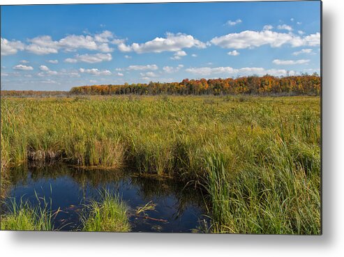 Landscape Metal Print featuring the photograph Magnificent Minnesota Marshland by John M Bailey