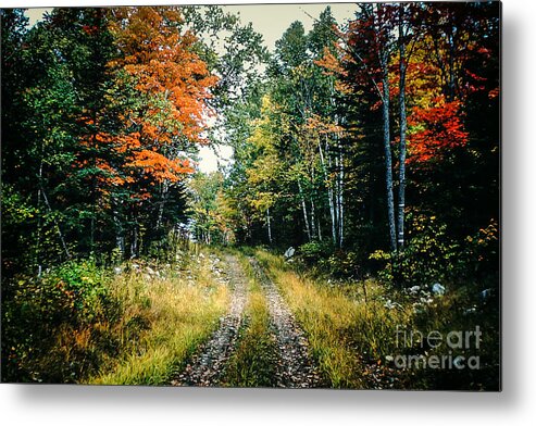 Maine Metal Print featuring the photograph Maine Back Road by George DeLisle