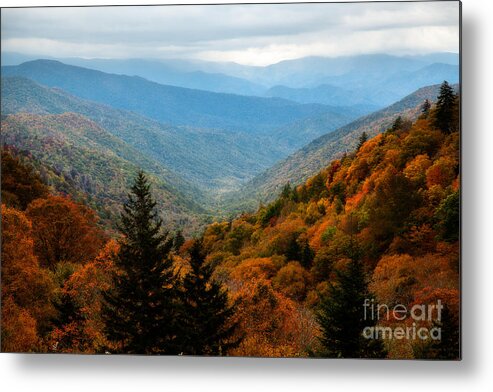 Autumn Foliage Metal Print featuring the photograph Majestic Autumn In The Smokies by Deborah Scannell