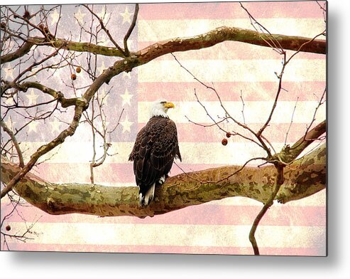 Eagle Metal Print featuring the photograph Majestic II by Trina Ansel