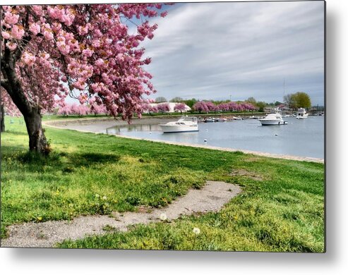 Landscape Metal Print featuring the photograph Mamaroneck Harbor by Diana Angstadt