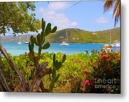 Baths Metal Print featuring the photograph Marina Cay view by Carey Chen