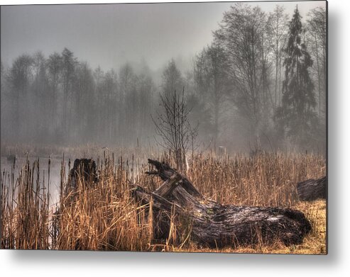 Marsh Metal Print featuring the photograph Marsh In Fog by Randy Hall