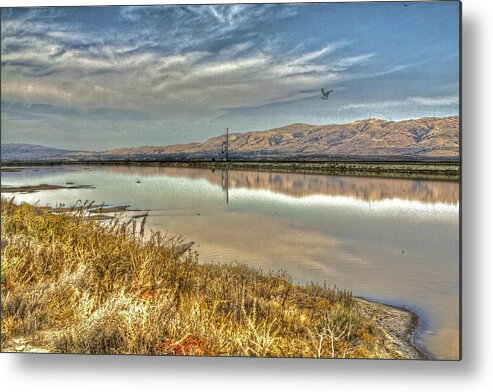 Alviso Metal Print featuring the photograph Marshlands 2 by SC Heffner