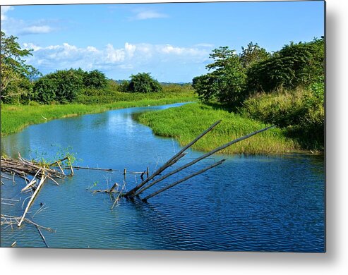  Metal Print featuring the photograph Mayaguez 4824 by Ricardo J Ruiz de Porras