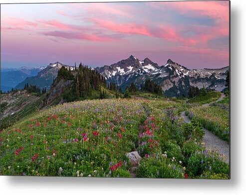 Mountains Metal Print featuring the photograph Mazama Ridge Wildflowers by Michael Russell