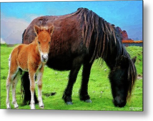 Chuck Mountain Metal Print featuring the digital art Me and Mum by Chuck Mountain