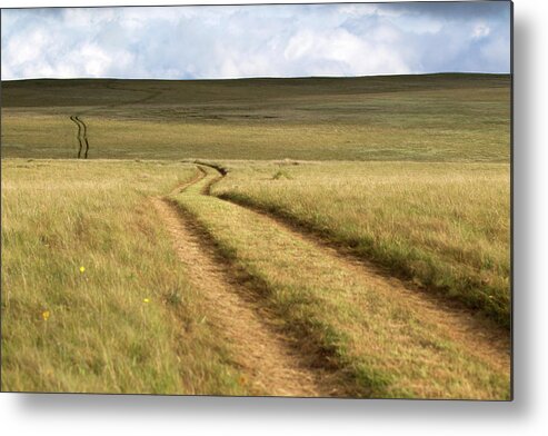 Scenics Metal Print featuring the photograph Meandering Path Through The Hills Of by Morgan Trimble