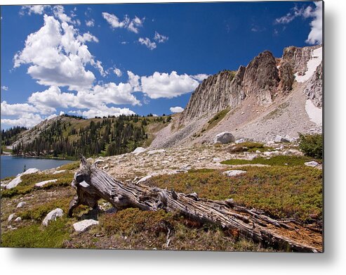 Wyoming Metal Print featuring the photograph Medicine Bow Range by Gerald DeBoer
