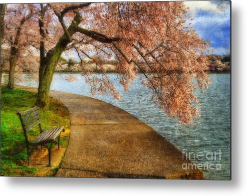 Bench Metal Print featuring the photograph Meet Me At Our Bench by Lois Bryan