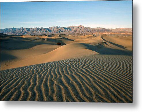  Deserts Metal Print featuring the photograph Mesquite Dunes by Darren Bradley