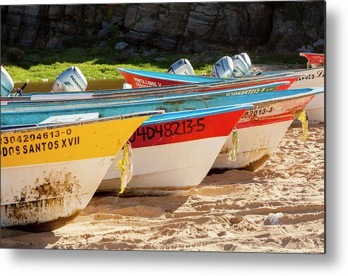 Baja Metal Print featuring the photograph Mexico, Baja California Sur, Todos by John and Lisa Merrill