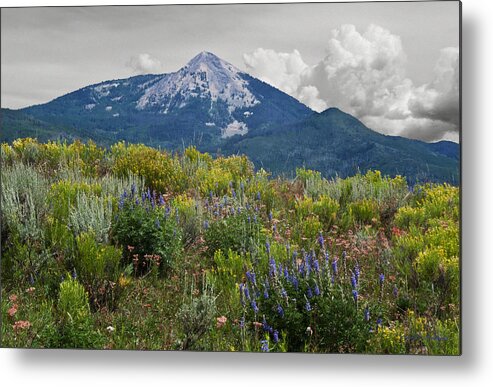 Flaura Metal Print featuring the photograph Mid Summer Morning by Daniel Hebard