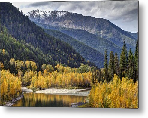 Autumn; Fall; Middle Fork Flathead River; Montana; Mountains; Nature; October; Outdoors; Reflection; River; Water; Yellow; Color; Flathead River; Landscape; Photo; Beautiful; Mark Kiver; Yellow; Sky. Forest; Trees; Aspen; Snow; Clouds Metal Print featuring the photograph Middle Fork Brillance by Mark Kiver