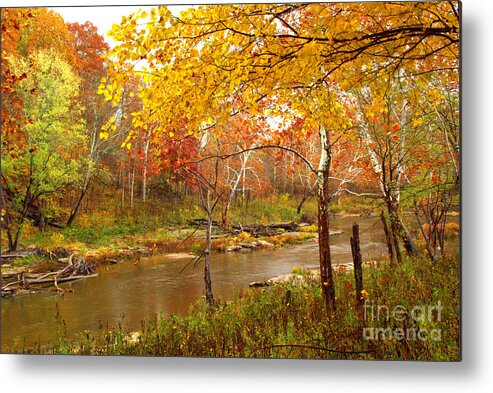 Creeks Metal Print featuring the photograph Mill Creek 1 by Jim McCain