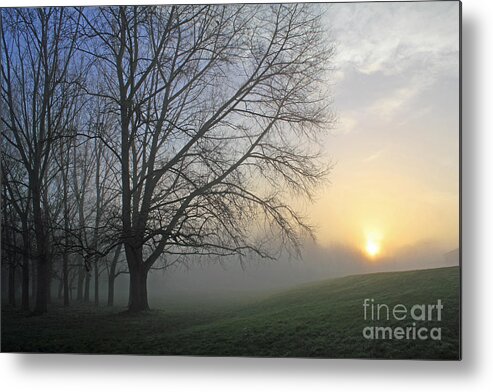 British English Countryside Landscape Metal Print featuring the photograph Misty Dawn by Julia Gavin