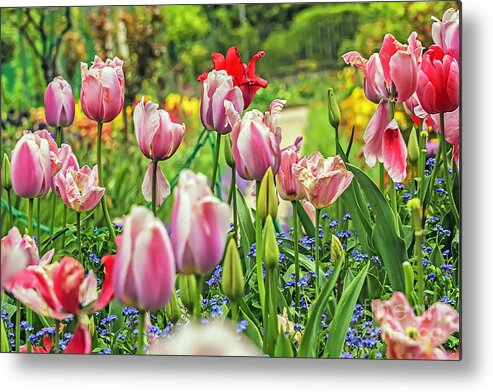 Travel Metal Print featuring the photograph Monet's Beauty by Elvis Vaughn