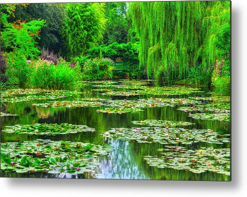 Monet Metal Print featuring the photograph Monet's Lily Pond by Midori Chan