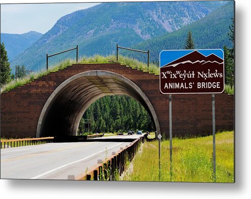 Landscape Metal Print featuring the photograph Montana Highway - #2 Animals' Bridge by Kae Cheatham