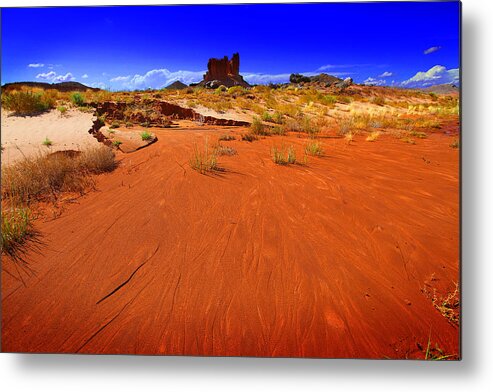 Landscape Metal Print featuring the photograph Monument Valley Utah USA #14 by Richard Wiggins