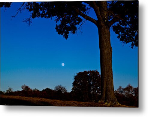 Moon Metal Print featuring the photograph Moon behind the Tree by Jonny D