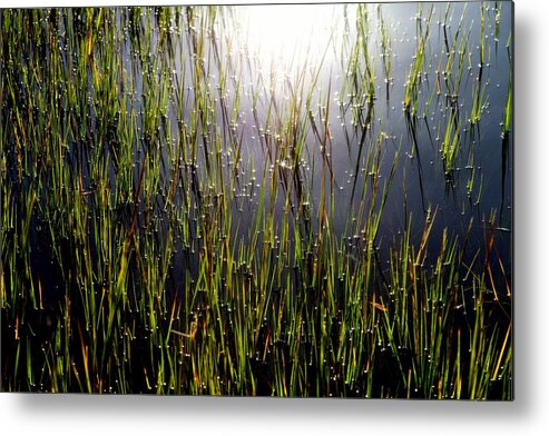 Water Metal Print featuring the photograph MORNING LIGHT of GOD by Karen Wiles