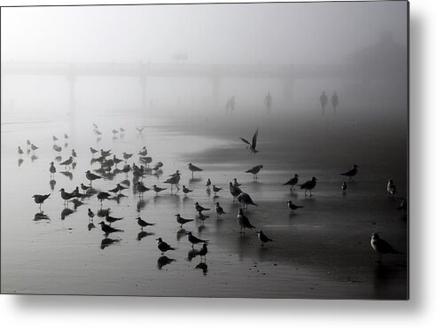 Birds Metal Print featuring the photograph Morning Monochrome by Ross Lewis