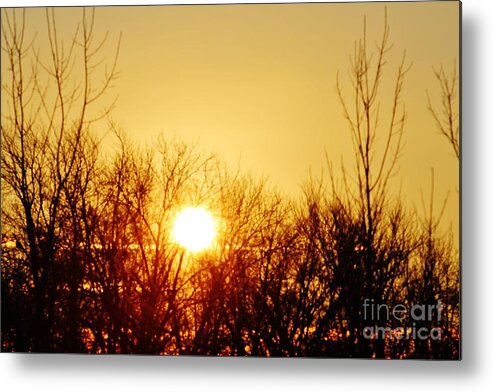 Morning Metal Print featuring the photograph Morning Sun 1 by Don Baker
