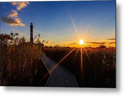 Marsh Metal Print featuring the photograph Morning in the Marsh by Sean Mills