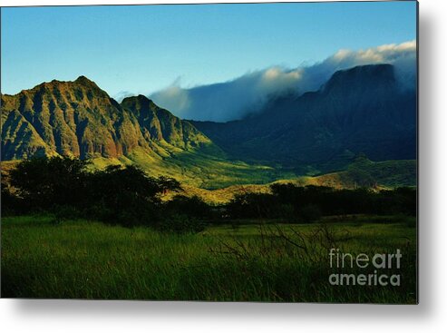 Light Metal Print featuring the photograph Morning's Light by Craig Wood
