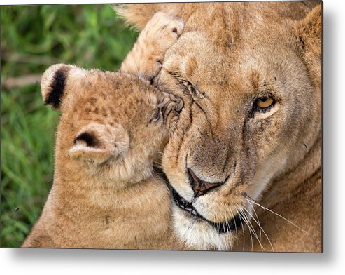 Africa Metal Print featuring the photograph Mother Love by Alessandro Catta