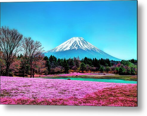 Tranquility Metal Print featuring the photograph Mount Fuji In Spring And Blue Sky by Michaël Ducloux