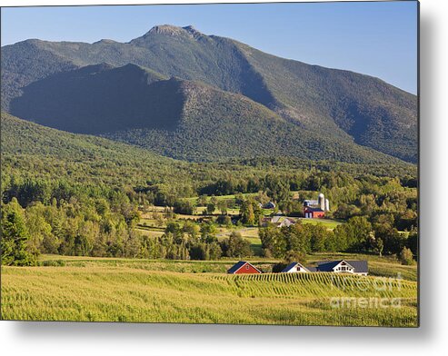 Summer Metal Print featuring the photograph Mount Mansfield Summer Landscape by Alan L Graham