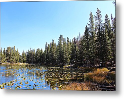 Mountains Metal Print featuring the photograph Mountain Lake by Kevin Wheeler