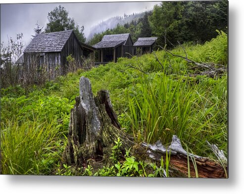 Appalachia Metal Print featuring the photograph Mountain Mists at Le Conte by Debra and Dave Vanderlaan