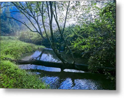 Appalachia Metal Print featuring the photograph Mountain Stream by Debra and Dave Vanderlaan
