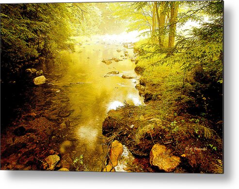 Mountain Stream Metal Print featuring the photograph Mountain Stream Summer by A Macarthur Gurmankin