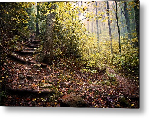 Wall Decor Metal Print featuring the photograph Mountains to the Sea Trail by Gray Artus
