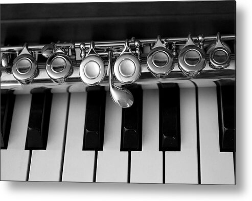 Flute Metal Print featuring the photograph Music Lesson by Mary Bedy