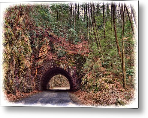 Road Metal Print featuring the photograph My Mountain Tunnel by M Three Photos