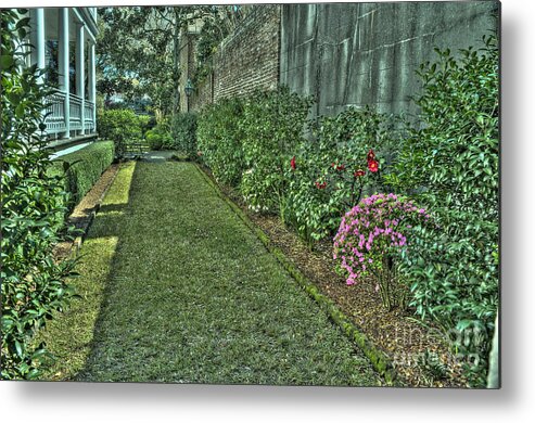 Narrow Metal Print featuring the photograph Narrow Urban Garden by Ules Barnwell