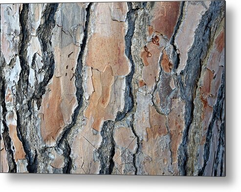 Tree Metal Print featuring the photograph Nature's amazing patterns by Rita Adams