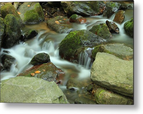 Still Life Photography Metal Print featuring the photograph Nature's Beauty by Mary Buck