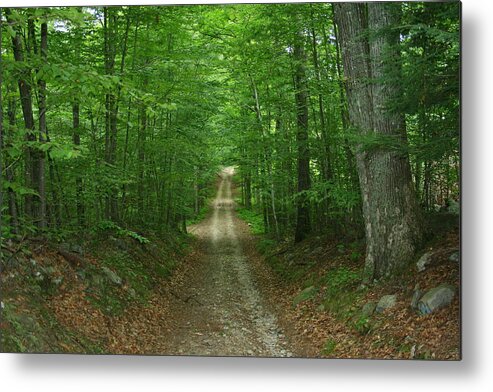 Path Metal Print featuring the photograph Nature's Way at James L. Goodwin State Forest by Neal Eslinger