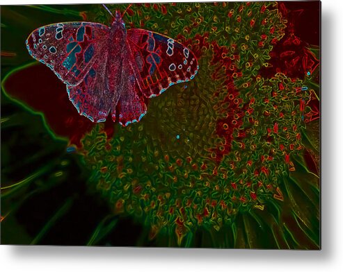 Butterfly Metal Print featuring the photograph Neon Butterfly by Barbara Dean